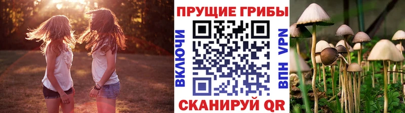 Псилоцибиновые грибы прущие грибы  Купить закладки  Ногинск 